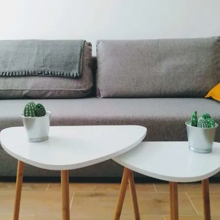 公寓 Patios De La Caleta *